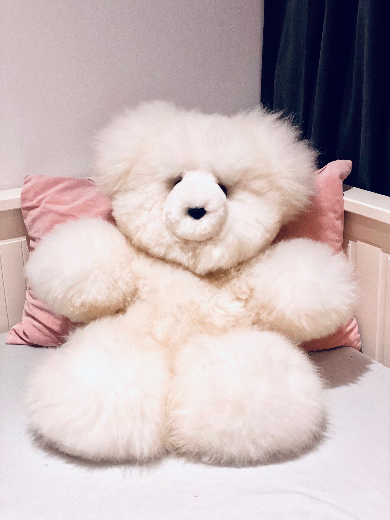 Teddy-gross